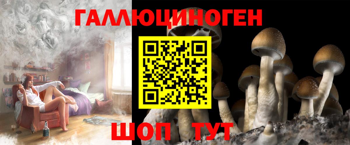 Псилоцибиновые грибы Psilocybine cubensis  Вход с VPN  Галлюциногенные грибы MAGIC MUSHROOMS  Белая Калитва 